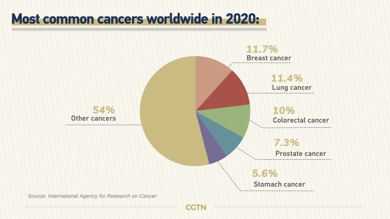 découvrez l'impact du cancer du sein sur la fertilité, les options de préservation et les conseils pour accompagner votre projet parental après un diagnostic.